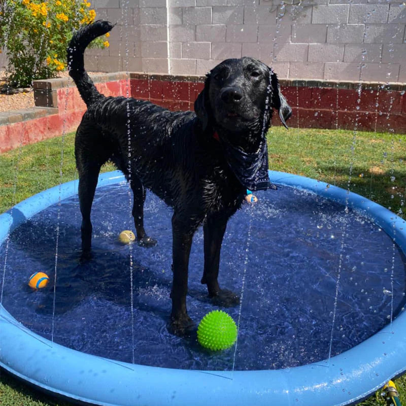 PawSplash Pad