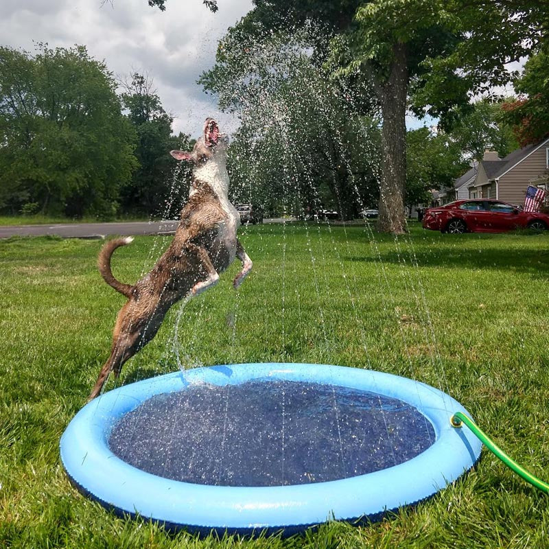 PawSplash Pad