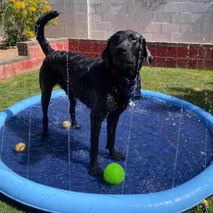 PawSplash Pad